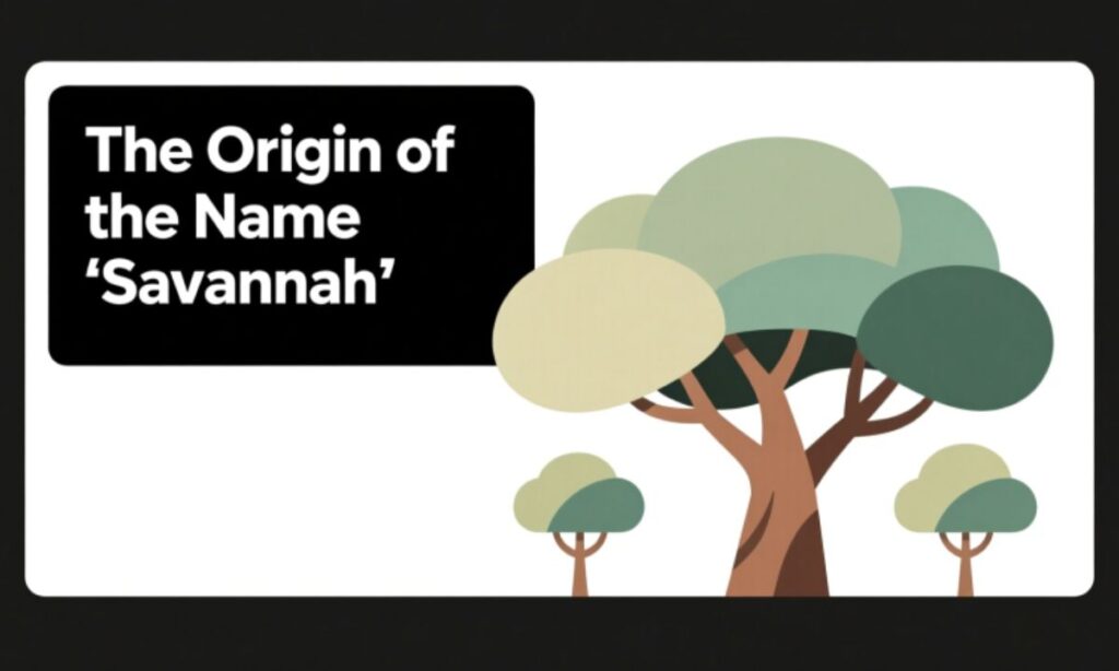 The Origin of the Name "Savannah"