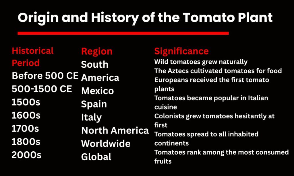 Origin and History of the Tomato Plant