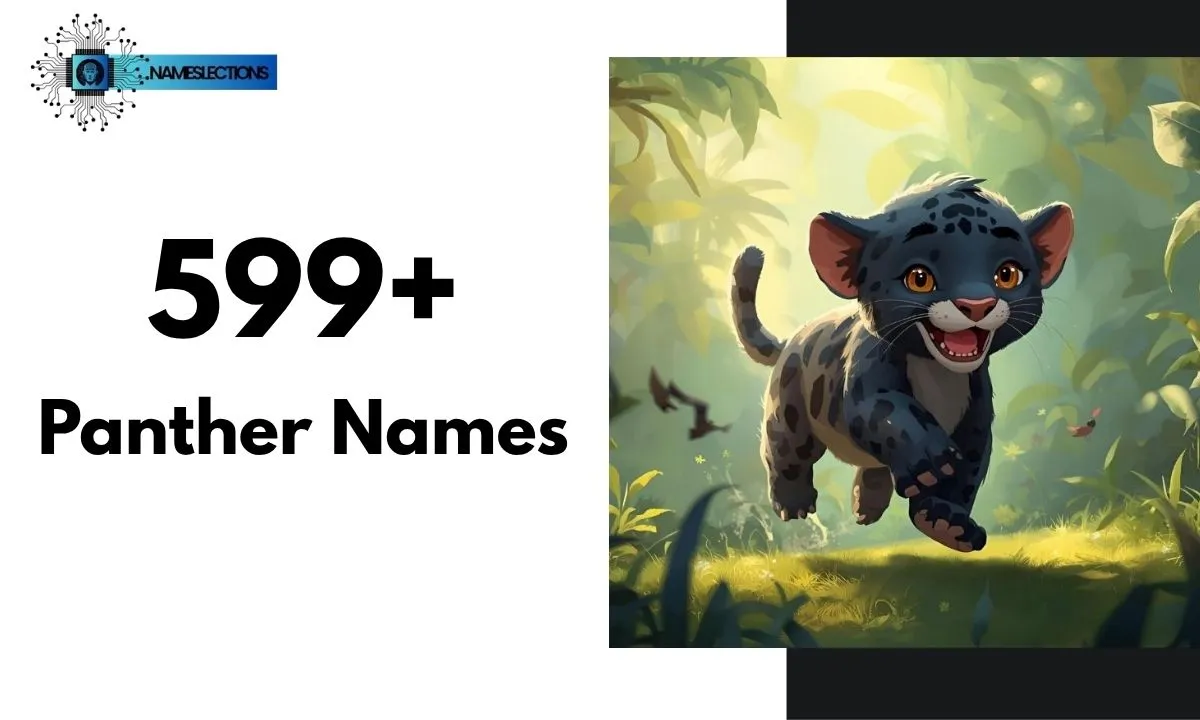 599+ Badass and Catchy Panther Names with Meanings