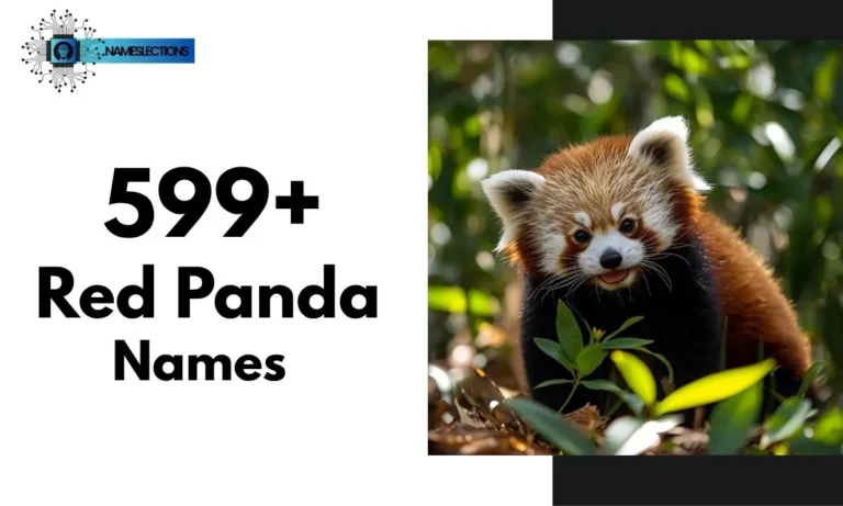 599+ Catchy and Cute Red Panda Names With Meanings