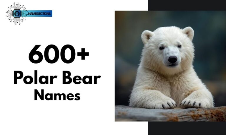 600+ Cool And Catchy Polar Bear Names With Name Generator