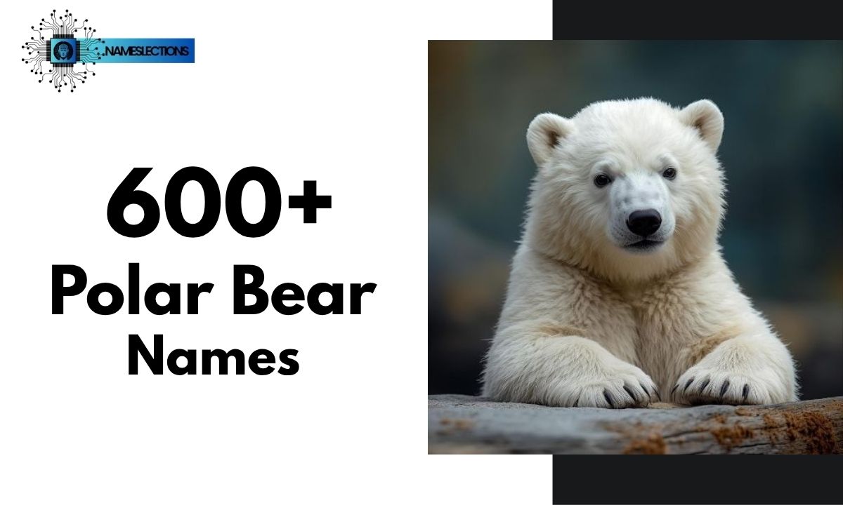 600+ Cool And Catchy Polar Bear Names With Name Generator