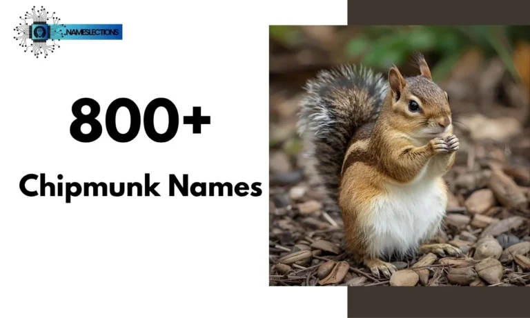 800+ Chipmunk Names: Cute, Funny and Unique