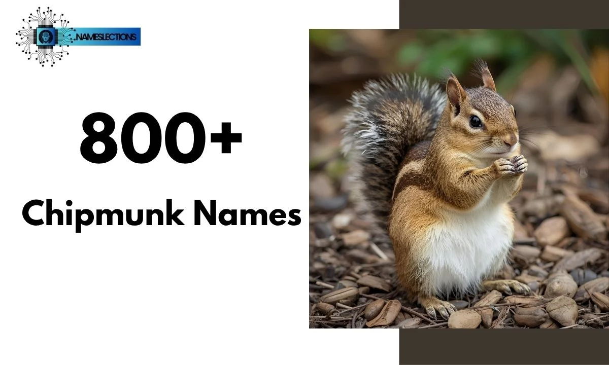 800+ Chipmunk Names: Cute, Funny and Unique