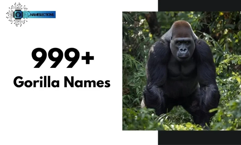 999+ Famous and Catchy Gorilla Names with Meanings