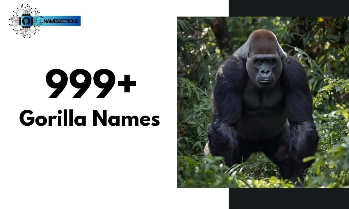 999+ Famous and Catchy Gorilla Names with Meanings