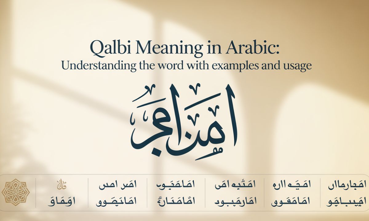 Qalbi Meaning in Arabic: Understanding the Word With Examples and Usage